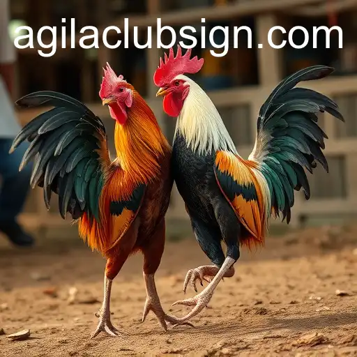 Gaming Experience agilaclub - 800+ Premium and Exclusive Games